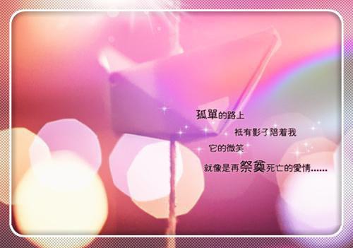 爱言红尘全文免费阅读(爱言红尘小说)全文免费慕云岑秦婉读无弹窗大结局_ 爱言红尘小说免费慕云岑秦婉读最新章节列表(慕云岑秦婉)