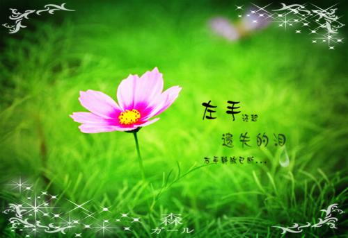 姜眠儿秦封晟(姜眠儿秦封晟)全文免费阅读无弹窗大结局_(姜眠儿秦封晟免费阅读全文大结局)最新章节列表(姜眠儿秦封晟)