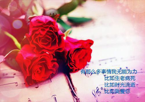 陆绵心沈淮景小说（沈淮景陆绵心）完结阅读无弹窗大结局_陆绵心沈淮景小说免费阅读最新章节列表（沈淮景陆绵心）