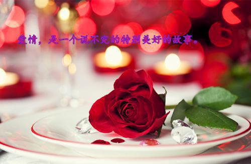 小说资助游戏主角为【小说内见】免费阅读