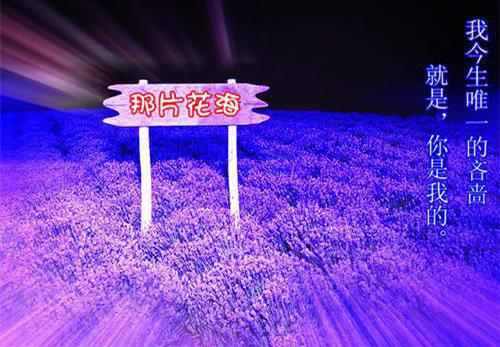 舒年姝夜启淮小说热辣必读宝藏言情文推荐（舒年姝夜启淮）全文免费阅读无弹窗大结局_(舒年姝夜启淮小说)最新章节列表（舒年姝夜启淮）