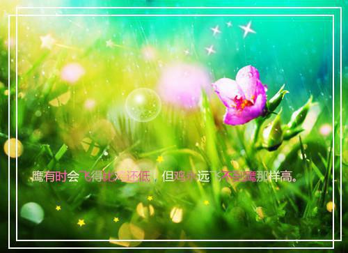 温初宜秦雪免费阅读无弹窗 温初宜秦雪最新章节