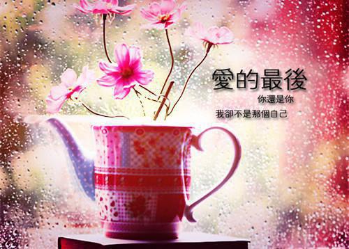 苏向暖冷亦寒免费阅读第2章 苏向暖冷亦寒大结局