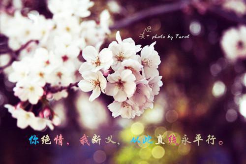 那年冬天的时候,我师傅在雪地里捡到了我免费小说李天灰雅儿全章节阅读