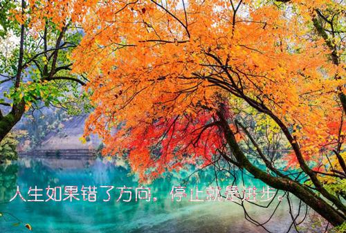郁柚贺臣景贺淮之免费全本小说 郁柚贺臣景贺淮之章节目录