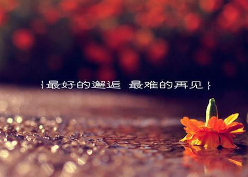 桑染岑津南全文免费阅读（桑染岑津南小说）全文在线阅读无弹窗大结局_（桑染岑津南小说桑染岑津南）桑染岑津南小说最新章节列表（桑染岑津南）