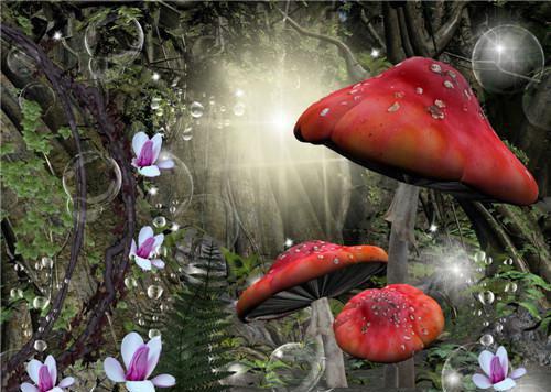 撩了死对头后,许她一世繁华全文阅读无弹窗大结局_（许蕊昕薛望年全文阅读无弹窗）最新章节列表（撩了死对头后,许她一世繁华）