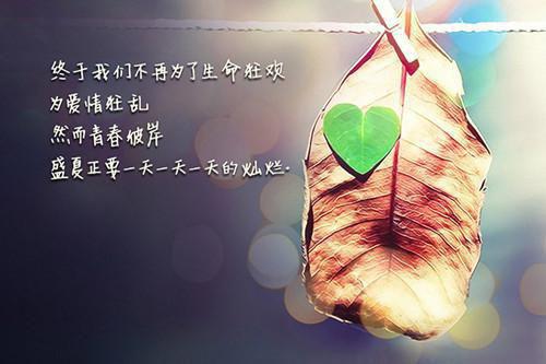 薄怀砚洛绾绾（洛绾绾薄怀砚免费）完结阅读无弹窗大结局_(洛绾绾薄怀砚免费完结阅读大结局)最新章节列表（薄怀砚洛绾绾）