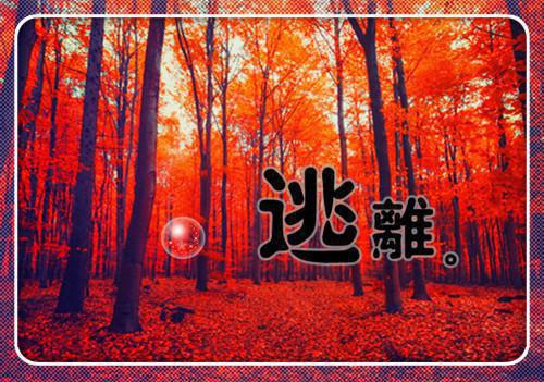 听从网友意见后，我带球跑了小说无弹窗全文阅读 陆尧晏时洛宁章节列表