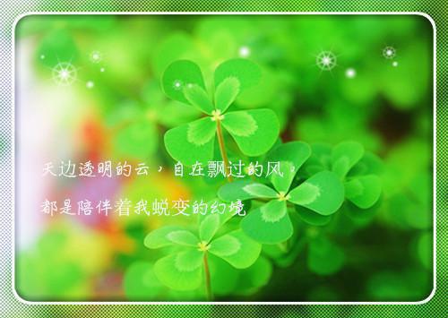 杀手重生，我的老爸是皇帝（苏月肖寒）全文免费阅读无弹窗大结局_（杀手重生，我的老爸是皇帝）苏月肖寒最新章节列表（苏月肖寒）