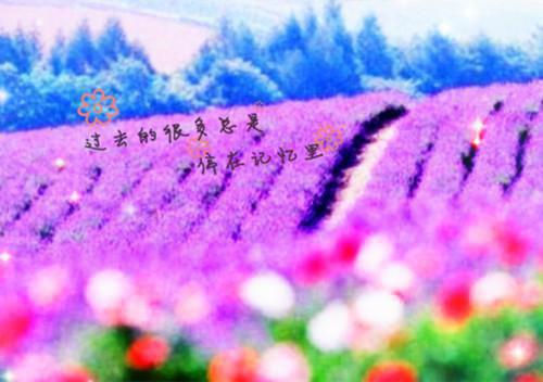 黎晚陆远舟（蜜汁绯色）全文免费黎晚陆远舟读无弹窗大结局_(黎晚陆远舟蜜汁绯色免费黎晚陆远舟读)最新章节列表（黎晚陆远舟）