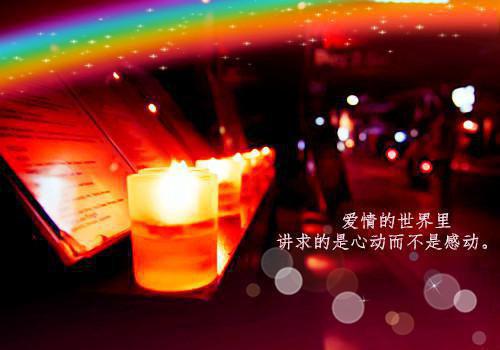 陆忱江宜禾全文（江宜禾陆忱）全文免费阅读无弹窗大结局_陆忱江宜禾免费最新章节列表（江宜禾陆忱）