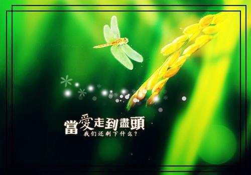 陆桁夏渝（夏渝陆桁免费）完结阅读无弹窗大结局_(夏渝陆桁免费完结阅读大结局)最新章节列表（陆桁夏渝）