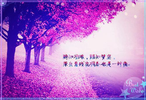 叶绾绾薛晏（薛晏叶绾绾）全文无弹窗大结局_叶绾绾薛晏小说最新章节列表