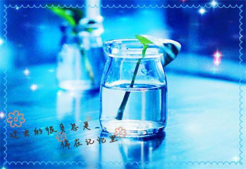 关于中考励志集的优美句子