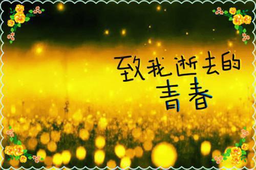 重生到羽族选灵宠那天免费无弹窗 青鸾红羽腓腓小说阅读