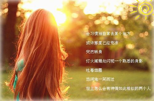 夜司冠宋初婂全文(宋初婂夜司冠)小说免费阅读无弹窗大结局_夜司冠宋初婂全文无弹窗完整版阅读