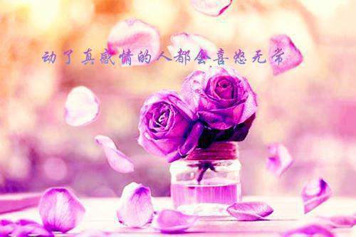 谢芷烟萧宁铎（谢芷烟萧宁铎）全文免费阅读_谢芷烟萧宁铎最新章节列表