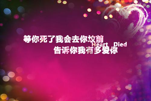 程暖贺丞（程暖贺丞）全文免费阅读无弹窗大结局_玩物小说免费最新章节列表（程暖贺丞）