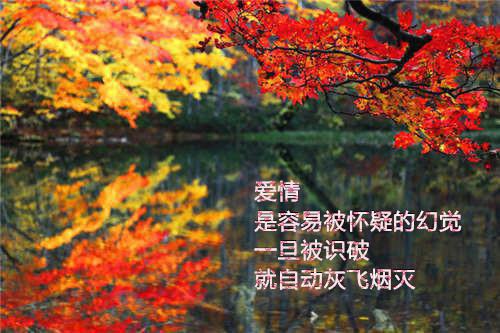 穿越百年之后小说全文免费阅读(张志远张志和)全文在线张志远张志和读无弹窗大结局_(穿越百年之后小说张志远张志和)穿越百年之后小说在线张志远张志和读无弹窗最新章节列表(张志远张志和)