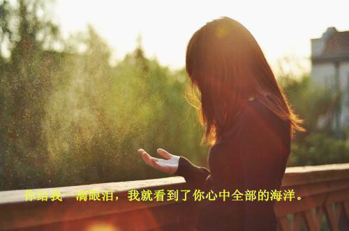 协议离婚后，夫人转头改嫁了+全集（薄司言沈曼）全文免费阅读无弹窗大结局_协议离婚后，夫人转头改嫁了+全集最新章节列表（薄司言沈曼）