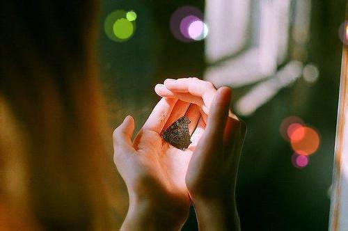 简攸宁陆琮精彩结局_简攸宁陆琮最新章节免费阅读