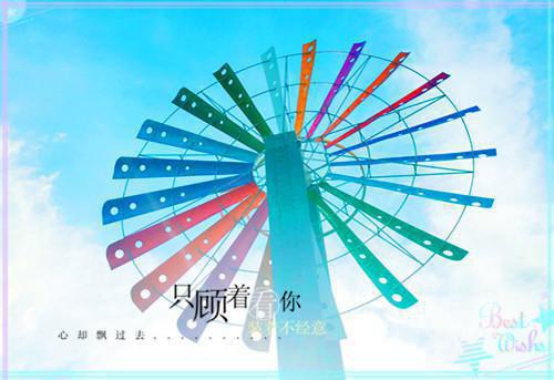岑宁陆晋小说（岑宁陆晋小说）全文免费阅读无弹窗大结局_岑宁陆晋列表（岑宁陆晋小说）