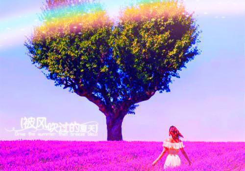 宋清渊向奚全文免费阅读（宋清渊向奚免费阅读无弹窗）宋清渊向奚最新章节列表（宋清渊向奚）