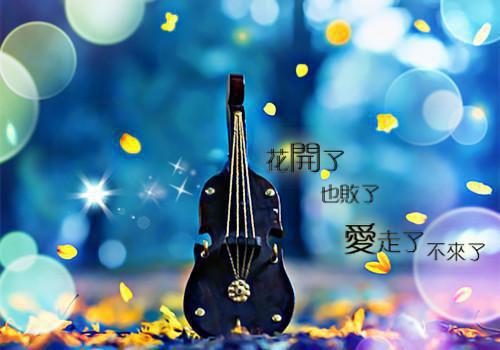 奚明悦蒋绍（一见钟情：替身竟是男神自己小说）全文免费奚明悦蒋绍读无弹窗大结局_(奚明悦蒋绍一见钟情：替身竟是男神自己小说小说免费奚明悦蒋绍读)最新章节列表（奚明悦蒋绍）