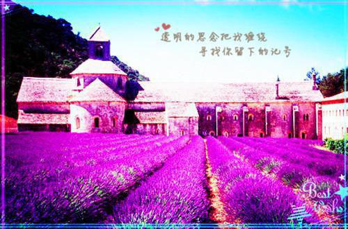 南卿陆肆（南卿陆肆小说）全文免费阅读无弹窗大结局_南卿陆肆免费阅读最新章节列表（南卿陆肆小说）