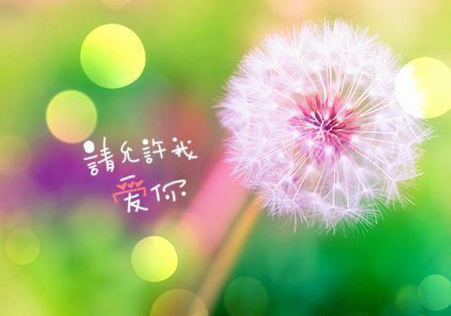 掐腰宠:夫君有颗美人痣全文免费阅读_君楚离顾云汐(掐腰宠:夫君有颗美人痣)