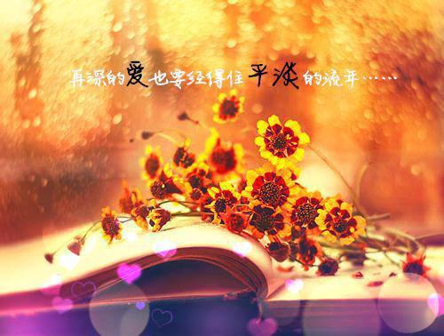 佚名的小说白玉玲冯礼源白玉玲冯礼源完结版阅读