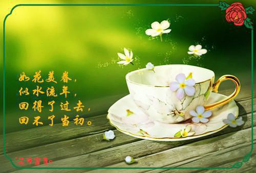 岑宁陆晋（岑宁陆晋）全文免费阅读无弹窗大结局_(岑宁陆晋小说大结局)岑宁陆晋最新章节列表（岑宁陆晋）