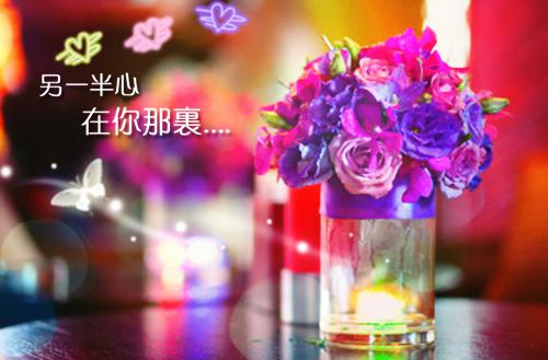 盛希贺今安（盛希贺今安）全文免费阅读无弹窗大结局_盛希贺今安后续列表(盛希贺今安后续）