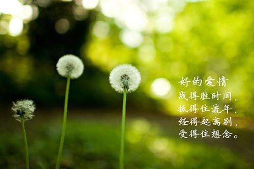 黎又又盛越羲（疯批反派抢着给她当爸爸，她成小可怜了？）全文免费阅读无弹窗大结局_疯批反派抢着给她当爸爸，她成小可怜了？最新章节列表（黎又又盛越羲）