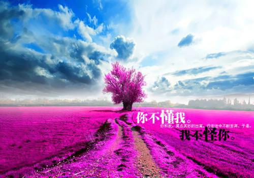 萧泽禹宋雪迎（萧泽禹宋雪迎）全文免费阅读无弹窗大结局_宋雪迎萧泽禹最新章节列表（萧泽禹宋雪迎）