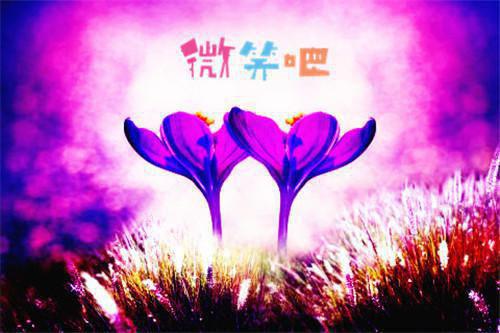 我和高考状元互换灵魂小说在线阅读无弹窗 刘春凤李佳乐章节目录