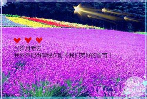 林清雪顾天（我，气运之子，开局奇遇不断）全文免费阅读无弹窗大结局_林清雪顾天免费最新章节列表（我，气运之子，开局奇遇不断）