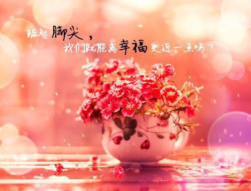 南絮霍柏小说（南絮霍柏）全集免费阅读无弹窗_南絮霍柏小说最新章节列表（南絮霍柏）