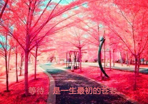 颜念瑾傅庭远全文免费阅读（娇妻蛮横，傅总你就从了吧小说）全文在线颜念瑾傅庭远读无弹窗大结局_（娇妻蛮横，傅总你就从了吧小说颜念瑾傅庭远）娇妻蛮横，傅总你就从了吧小说最新章节列表（颜念瑾傅庭远）