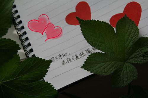 唐妩霍御小说唐妩霍御-唐妩霍御小说在哪里可以看