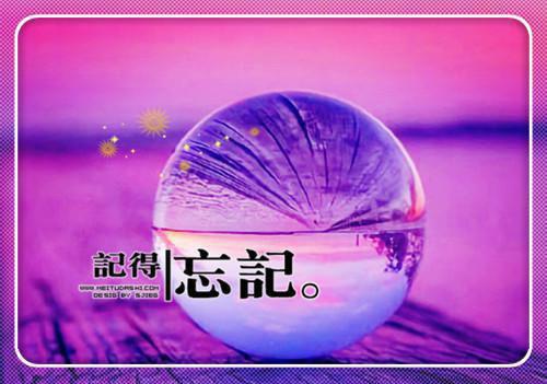段辛辛宋之遥小说最新（段辛辛宋之遥）全文免费阅读无弹窗大结局_(段辛辛宋之遥小说)最新章节列表（段辛辛宋之遥）