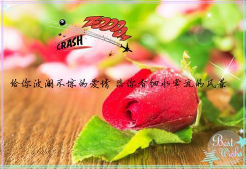 完结文认错双胞胎后我成了他嫂子最新章节列表_完结文认错双胞胎后我成了他嫂子全文免费阅读（沈知秋顾少珩）