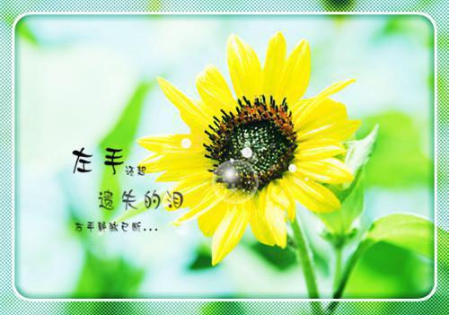 苏棉槿谢其昭免费小说（苏棉槿:发现恶魔是网恋对象后她只想逃离）书名苏棉槿谢其昭完结版在线阅读