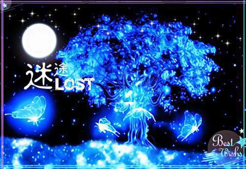 相遇是错，相爱就好免费阅读全本 洛晚笙傅之舟最新章节