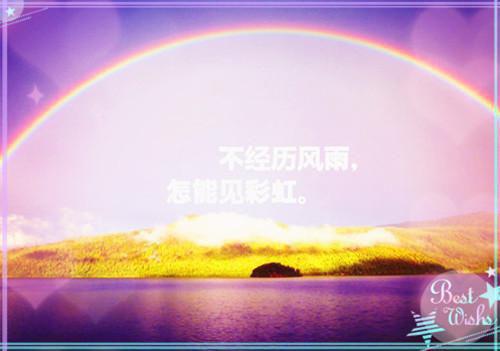 主角是顾招娣陆柏的小说免费阅读全文大结局
