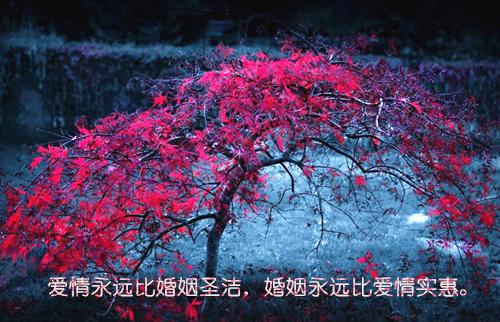 必读文春日恰浓蒋向阳靳向宇全文阅读最新章节_必读文春日恰浓蒋向阳靳向宇全文阅读