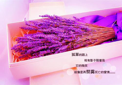 陆戈江汐染（江汐染陆戈小说）完结阅读无弹窗大结局_(江汐染陆戈小说完结阅读大结局)最新章节列表（陆戈江汐染）