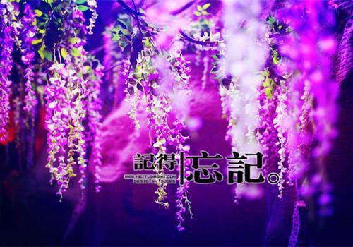 余生不为你难过风细细小说全章节最新阅读