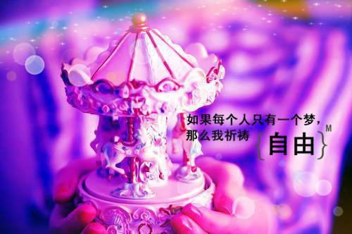 放下高冷白月光，我选火热霸王花（放下高冷白月光，我选火热霸王花）全文免费阅读无弹窗大结局_放下高冷白月光，我选火热霸王花(放下高冷白月光，我选火热霸王花免费阅读)（放下高冷白月光，我选火热霸王花）